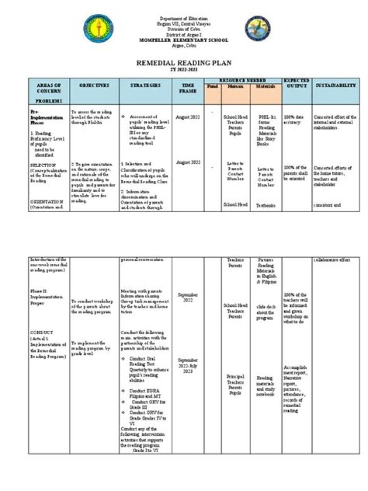 Comprehensive Remedial Action Plan PDF for Effective Problem Solving