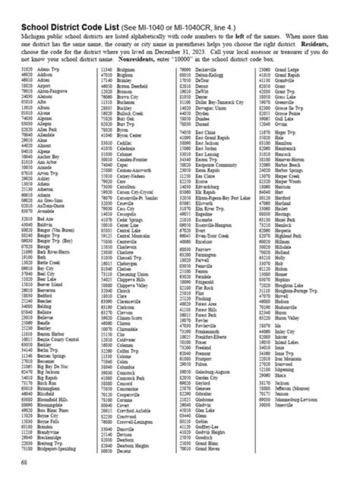 RenWeb District Code List PDF for Quick Reference