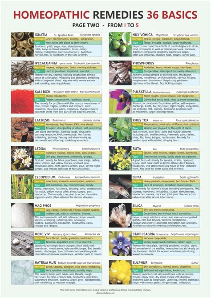 Repl Homeopathy Medicine List PDF: Complete Guide to Safe Remedies