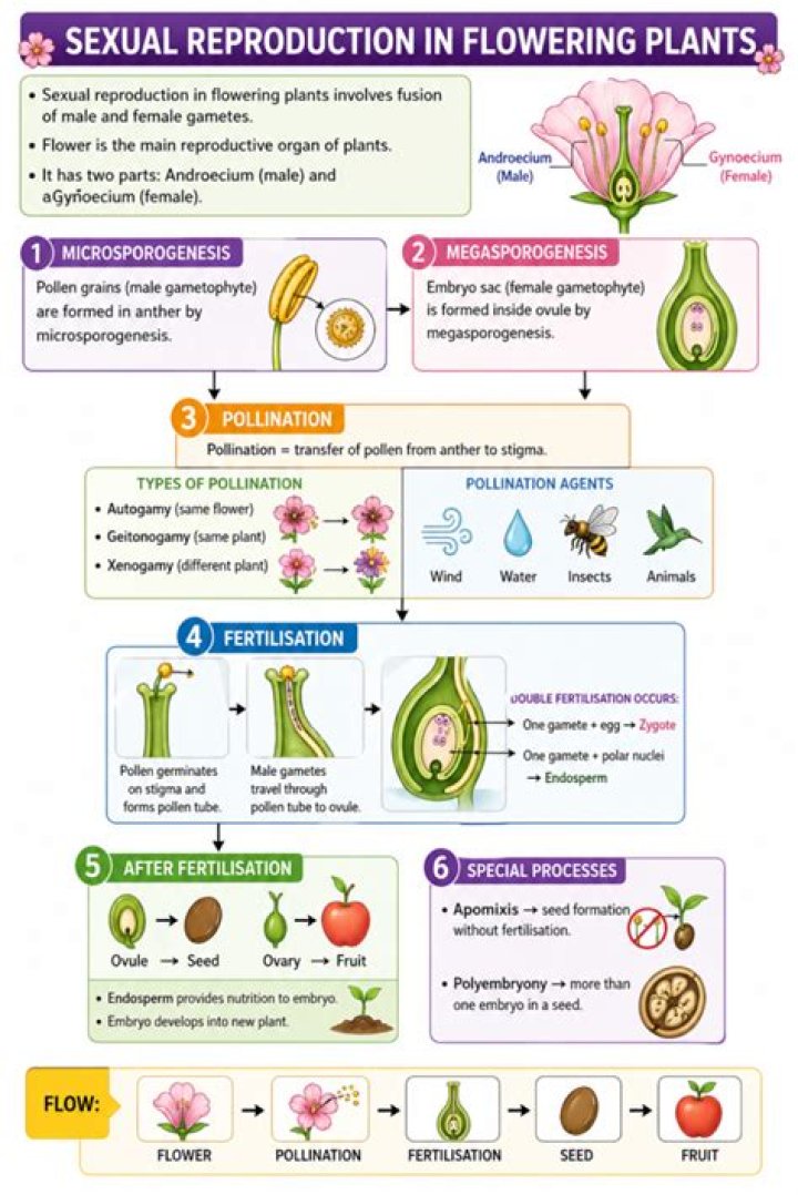 Reproduction in Flowering Plants: Key Questions & Answers PDF