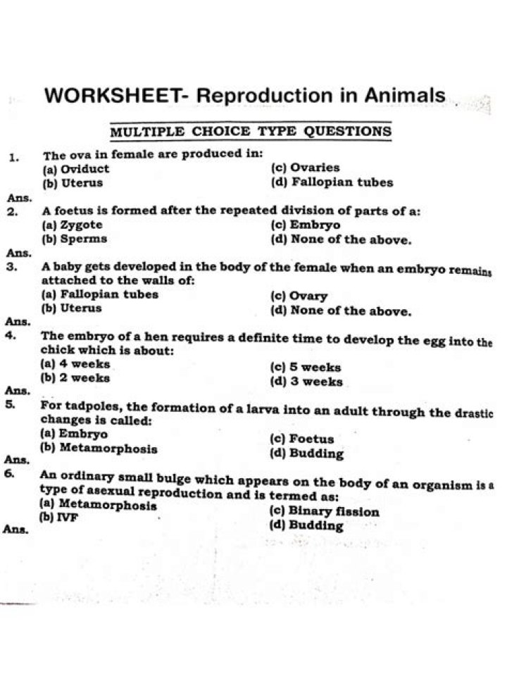 Reproduction Questions and Answers PDF: Expert Guide