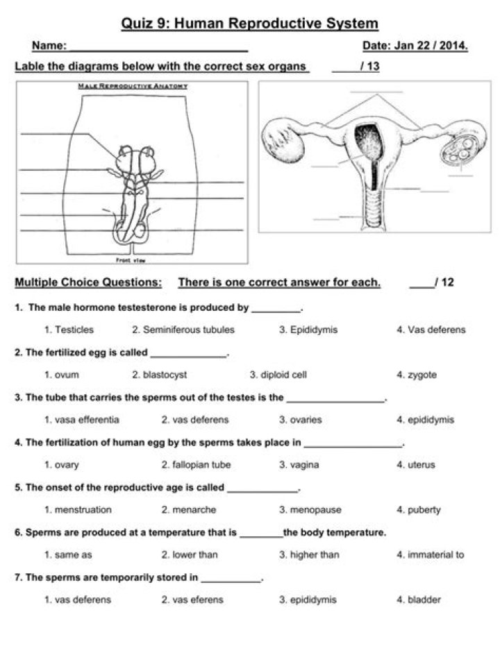 Reproductive Health Questions & Answers PDF – Expert Answers