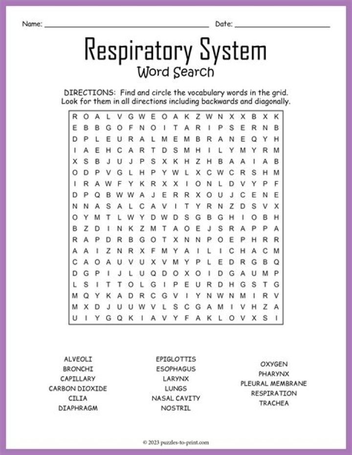 Respiratory System Crossword Puzzle Answer Key PDF – Solve Now