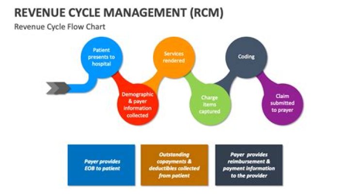 Revenue Cycle Management Market PDF: Key Trends and Growth Insights