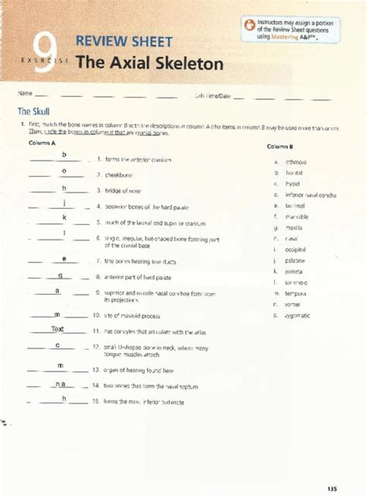 Review Sheet Exercise 9: The Axial Skeleton Answer Key PDF