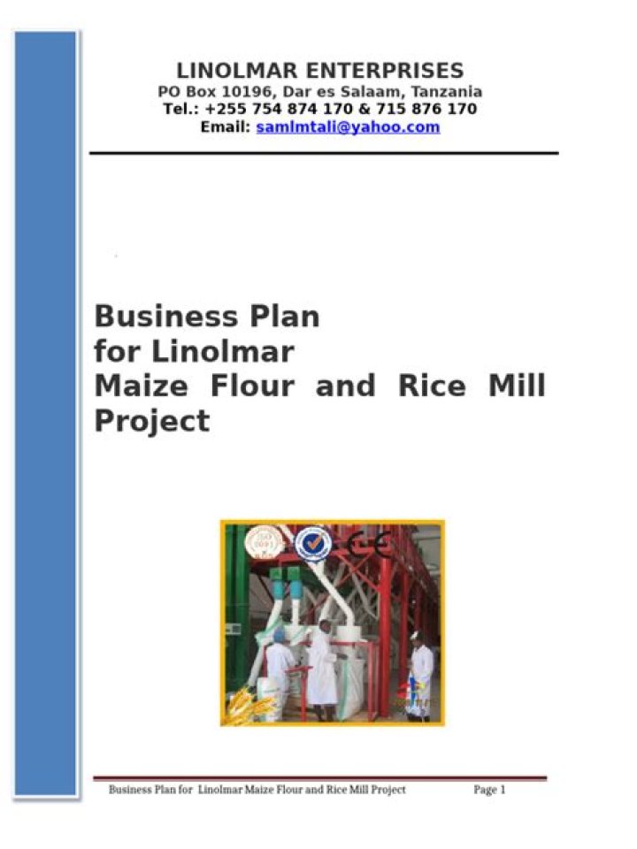Comprehensive Rice Milling Business Plan PDF – Step-by-Step Guide