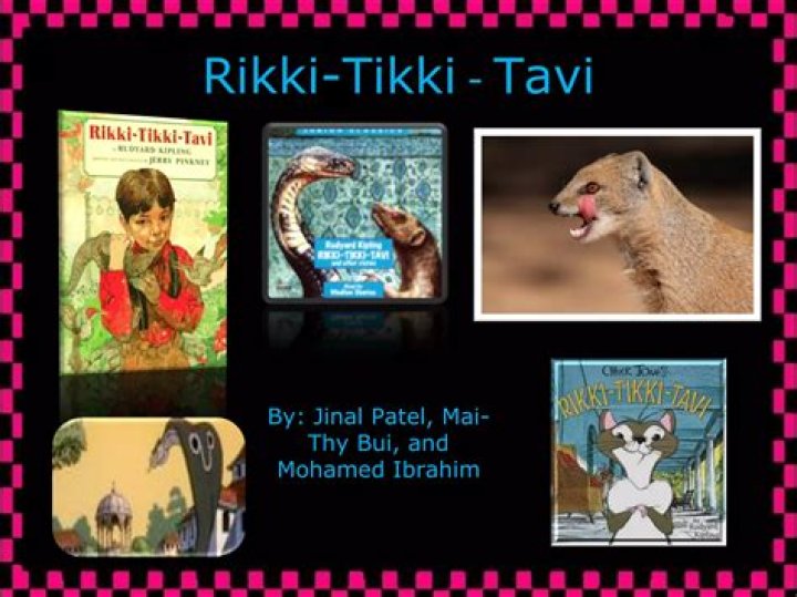Rikki Tikki Tavi Questions and Answers PDF: Full Study Guide
