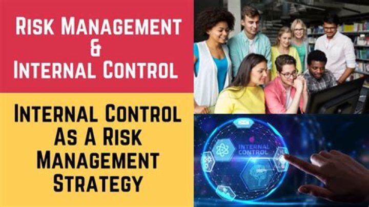 Master Risk Management & Internal Control: Essential PDF Guide