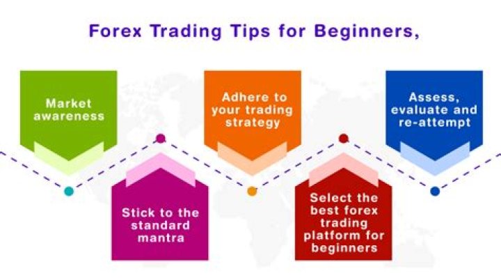 Risk Management for Forex Trading Beginners: Essential PDF Guide