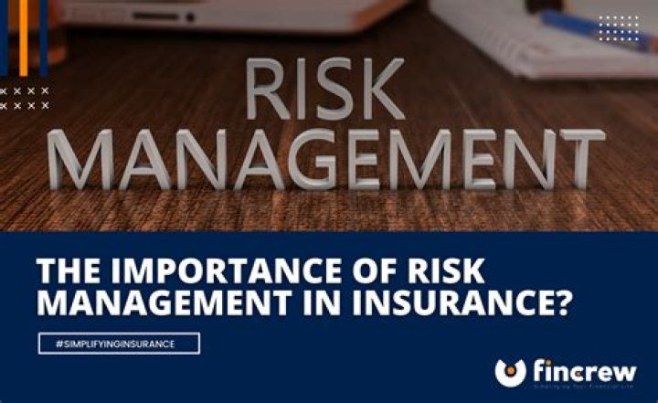 Risk Management in Insurance Companies: Expert PDF Guide