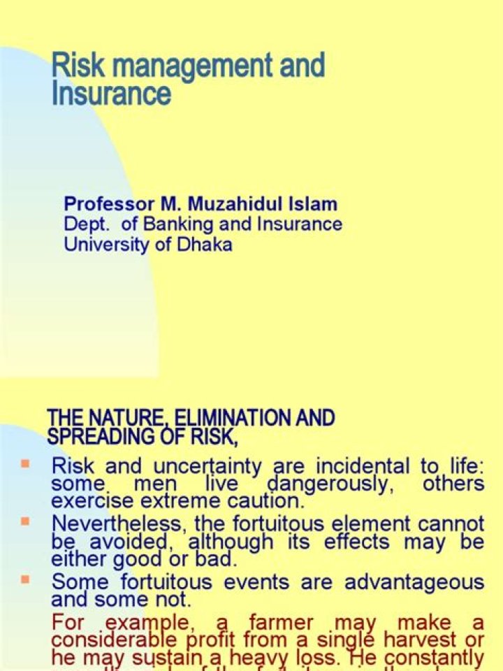 Master Risk Management in Insurance: Essential PDF Guide