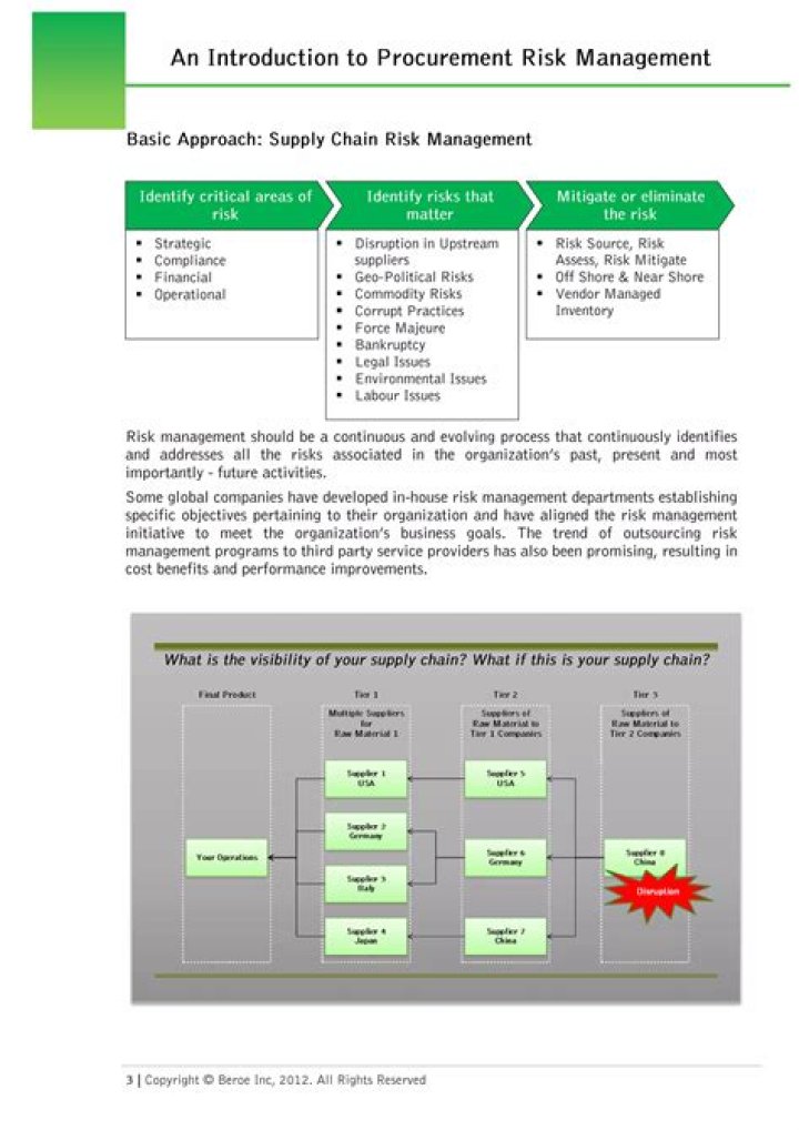 Master Risk Management in Procurement: Essential PDF Guide