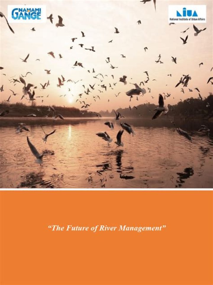 Essential River Management PDF Guide for Sustainable Water Systems