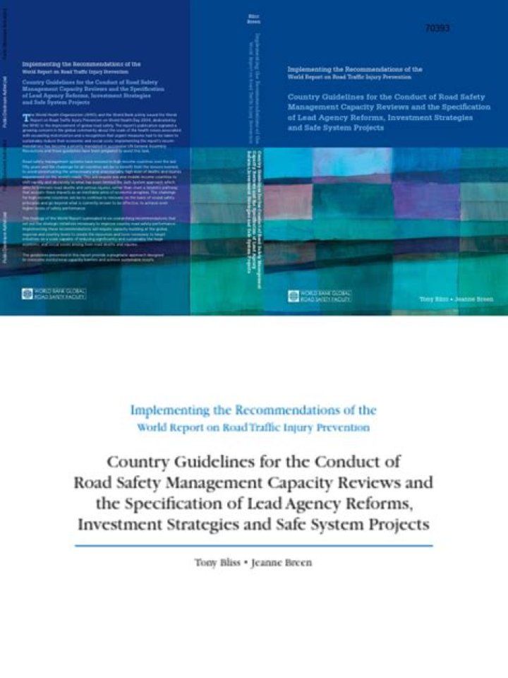 Comprehensive Road Safety Management PDF Guide