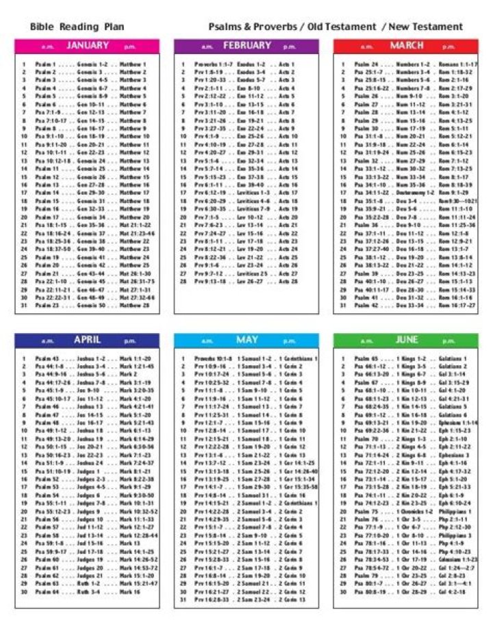 Robert Roberts Bible Reading Plan PDF – Complete Daily Study Guide