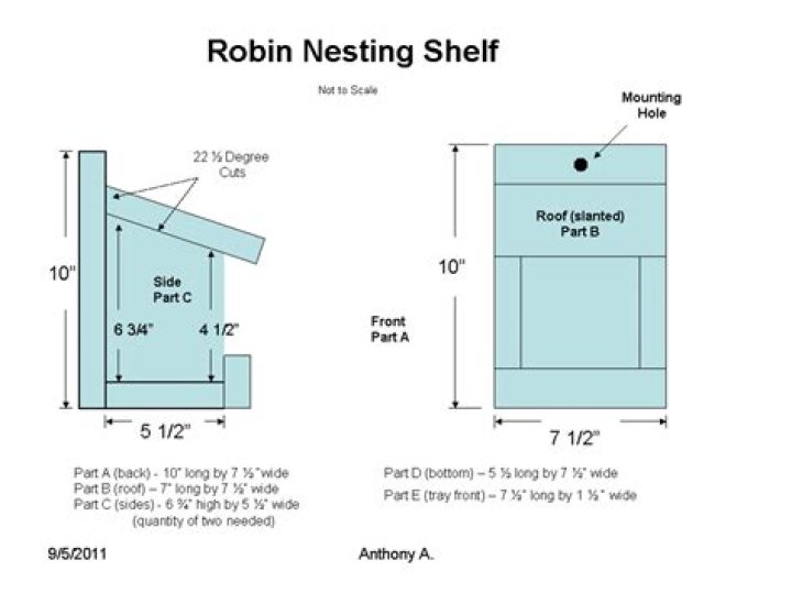 Build Your Own Robin Nest Box with Easy PDF Plans