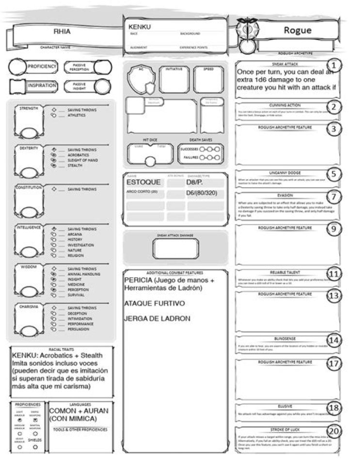 Download Rogue Character Sheet PDF for Roleplaying Games
