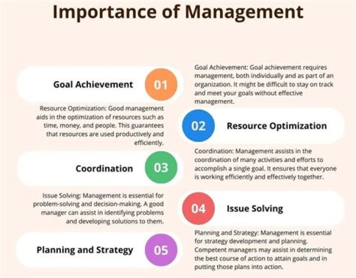 The Role of Management in an Organization PDF: Essential Insights