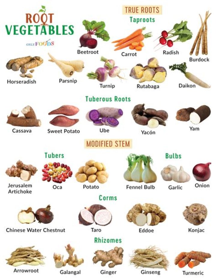 Root Vegetables List PDF: Complete Guide to Staple Root Crops