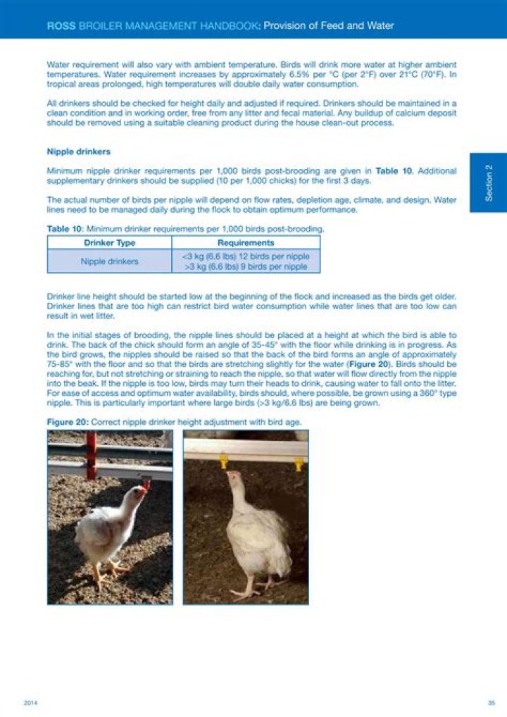 Ross Broiler Management Guide PDF: Expert Tips for Optimal Flock Performance