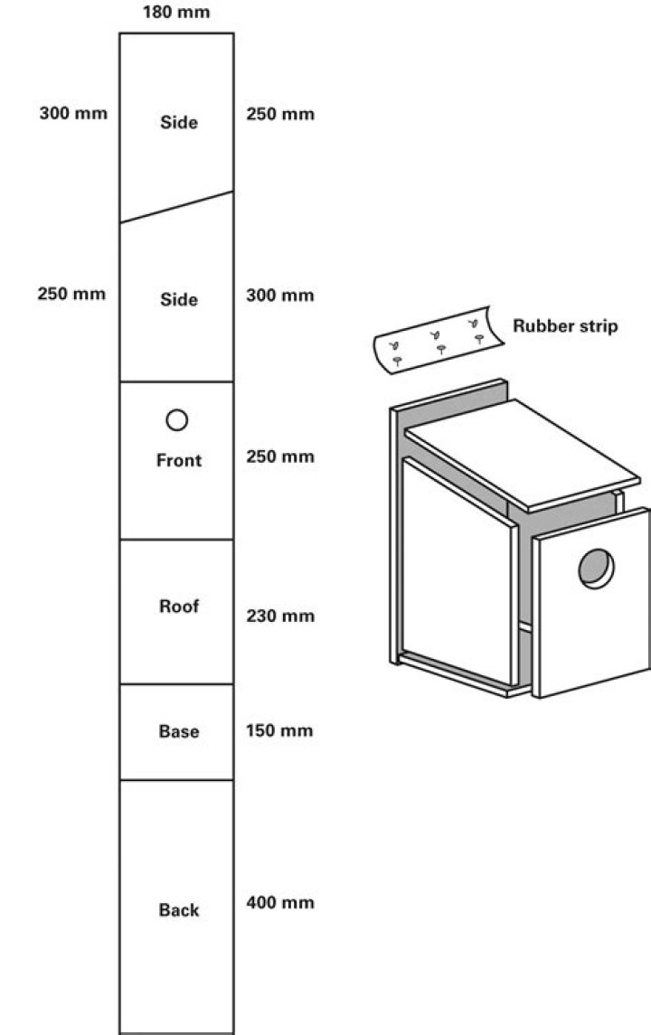 RSPB Bird Box Plans PDF: Build Your Own Safe Bird Nesting Box