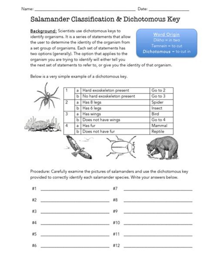 Salamander Dichotomous Key Answers PDF: Quick Identification Guide