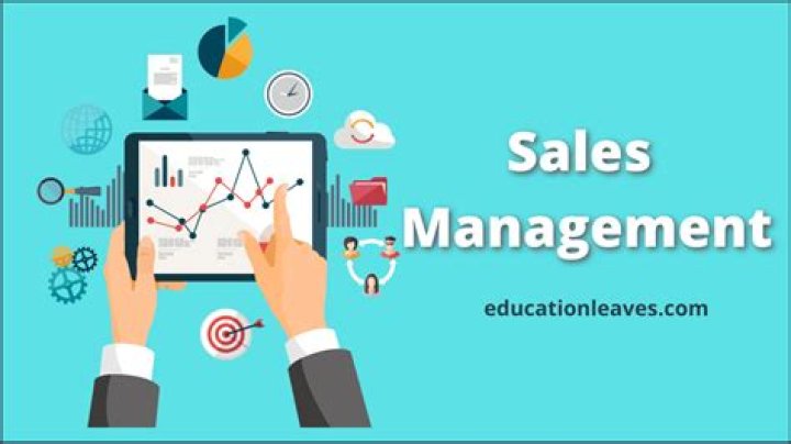 Master Sales Management with This Essential PDF Guide
