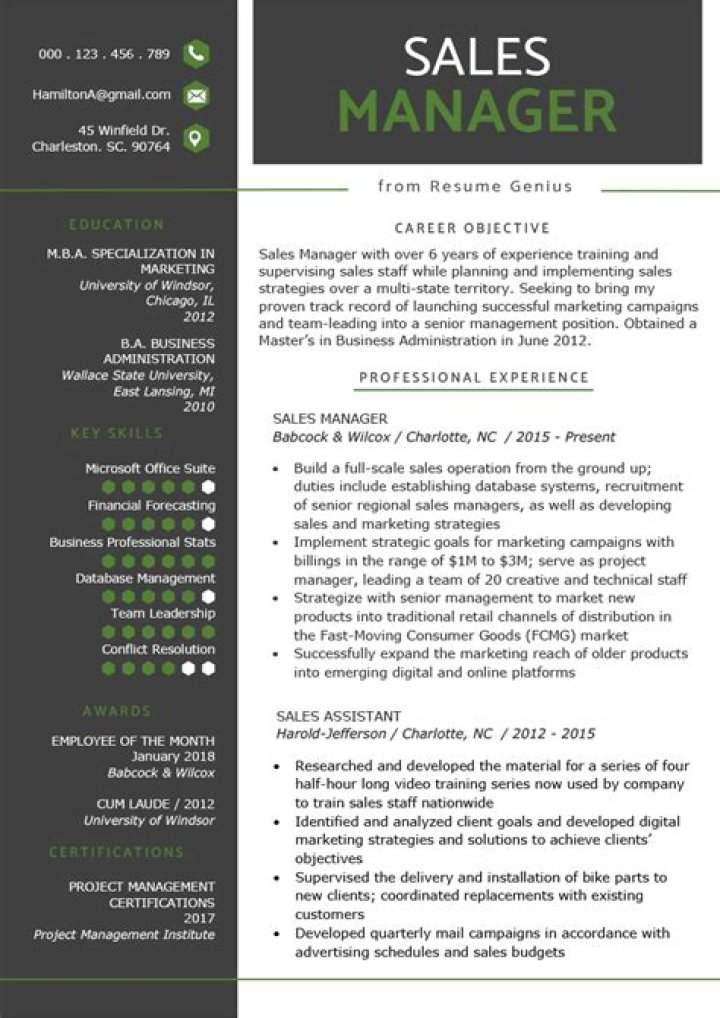 Sales Manager Resume Sample PDF – Download Now