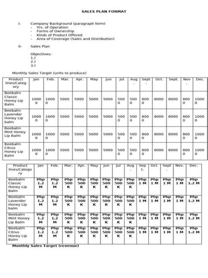 Download Professional Sales Plan Format PDF Templates