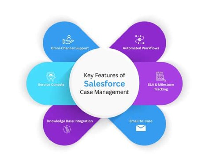 Salesforce Case Management PDF: Streamline Support Workflows