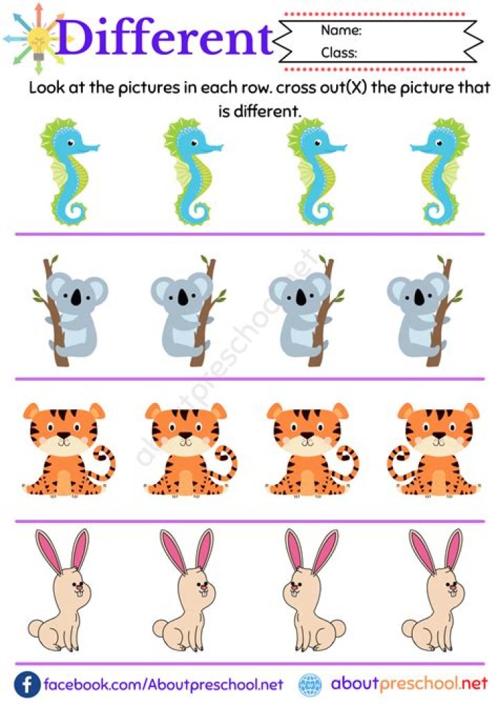 Same and Different Worksheets PDF Free Download