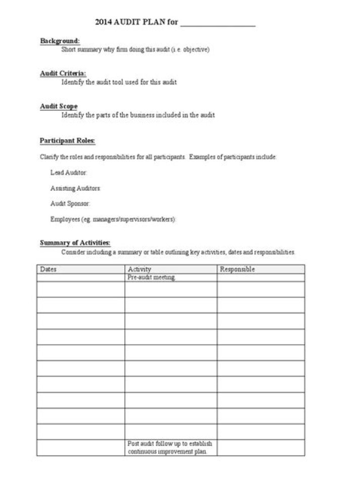 Free Sample Audit Plan PDF for Effective Compliance Management