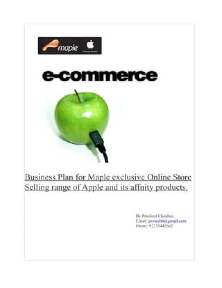 Download Free Sample Ecommerce Business Plan PDF