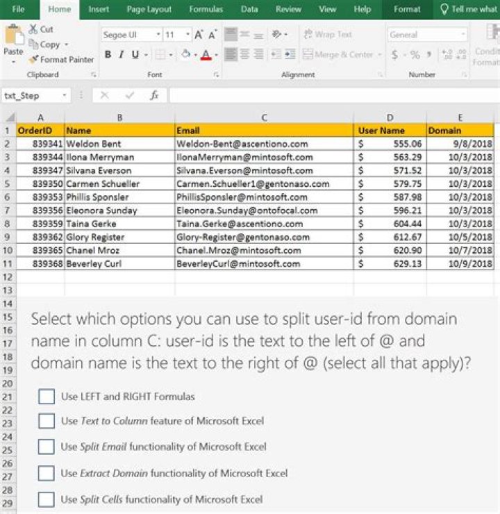 Free Sample Excel Test Questions & Answers PDF for Instant Download