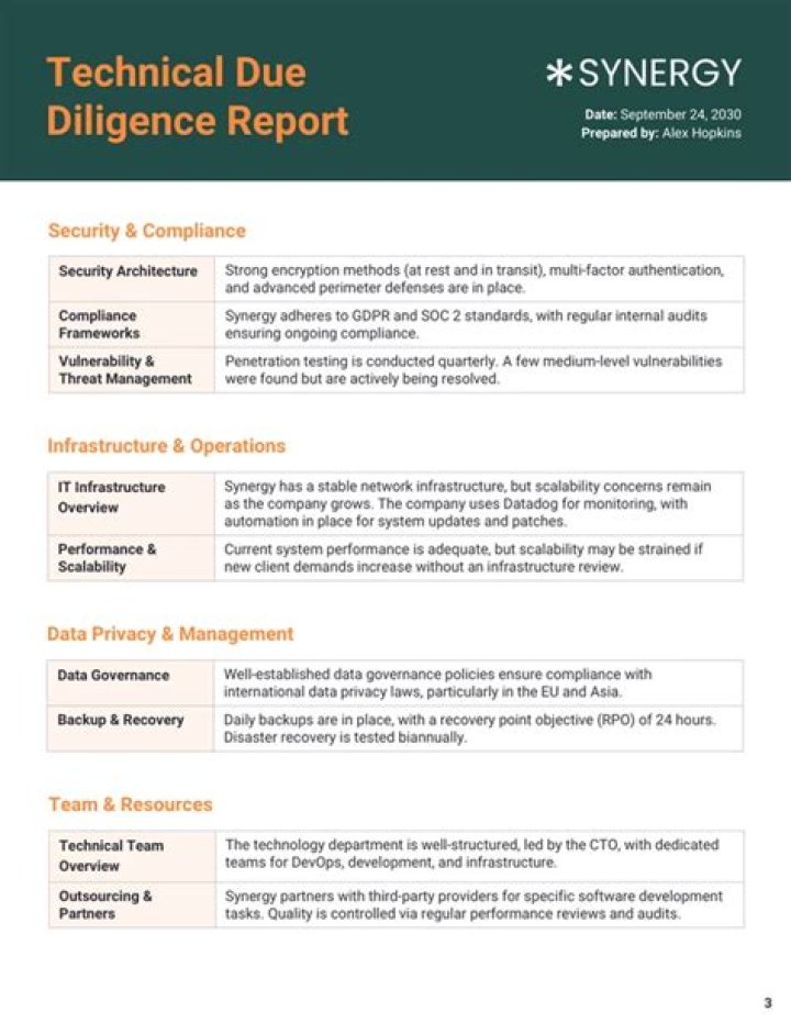 Sample Management Report for Due Diligence Effort PDF