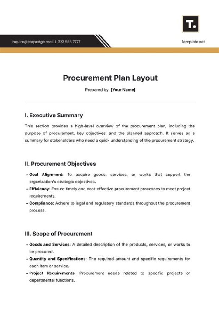 Sample Procurement Plan PDF for Effective Project Planning