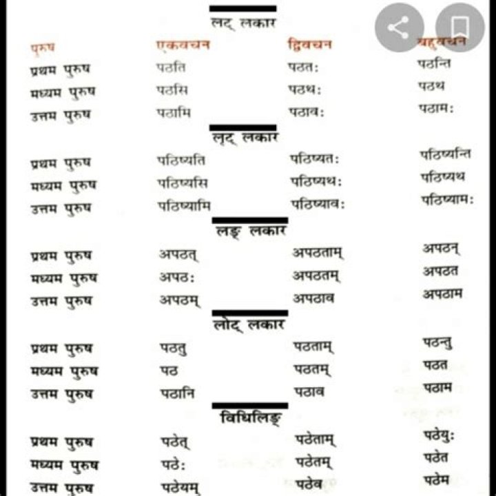 Complete Sanskrit Dhatu List PDF for Ayurvedic Healing