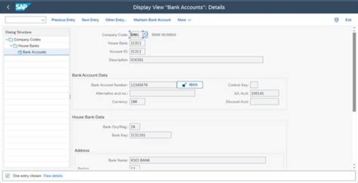 SAP Bank Account Management: Essential PDF Guide for Efficient Tracking