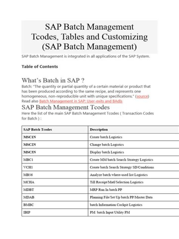 SAP Batch Management PDF: Mastering Production Traceability & Control