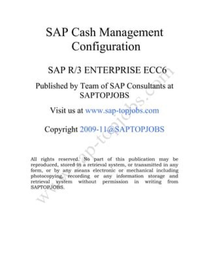 SAP Cash Management Configuration Guide PDF | Efficient Financial Setup