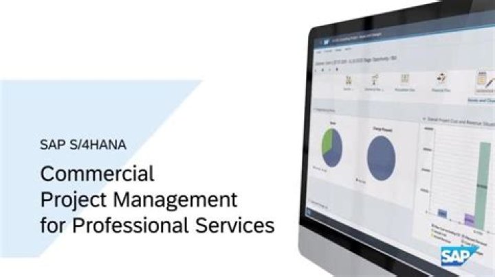 SAP Commercial Project Management: Complete PDF Guide