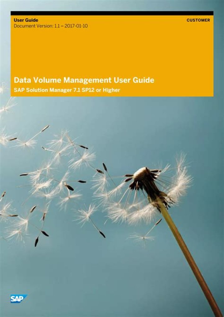 Optimize SAP Data Volume Management with Expert PDF Guide
