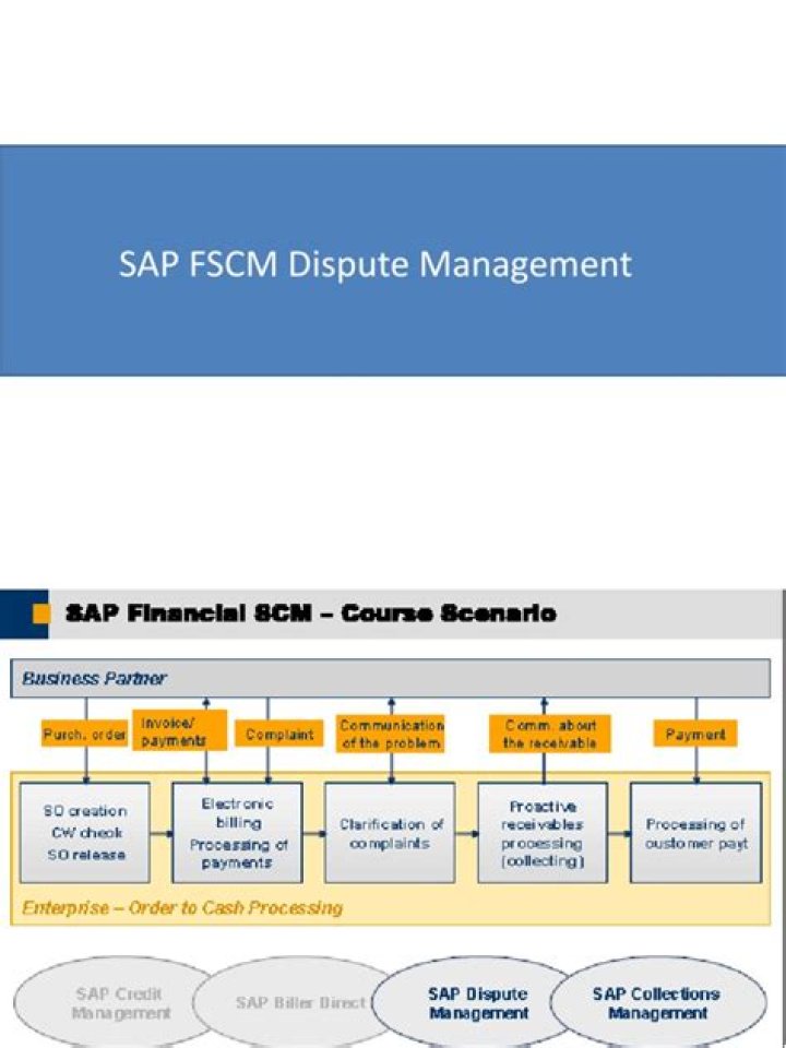 SAP FSCM Dispute Management PDF: Expert Guide to Resolving Financial Disputes