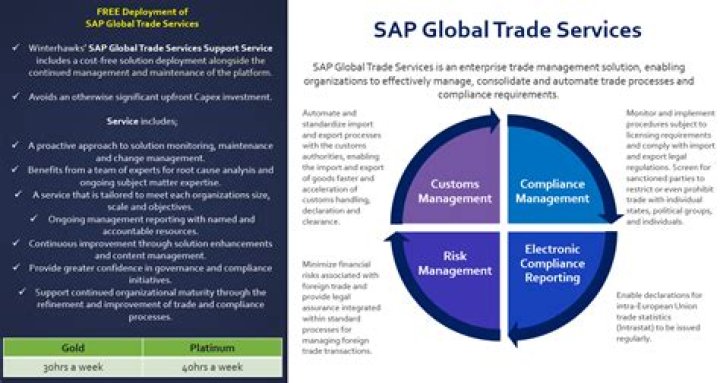 SAP Global Trade Management PDF: Master International Trade Compliance & Efficiency