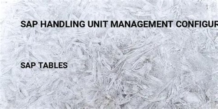 Sap Handling Unit Management Configuration Guide: PDF Download