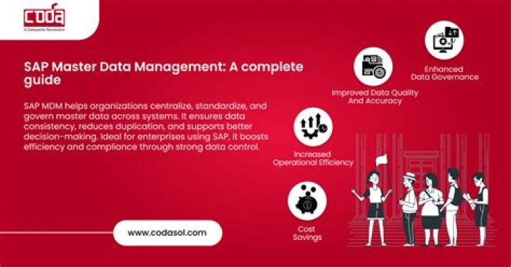 SAP Master Data Management PDF: Best Practices & Implementation Guide