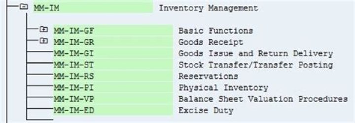 SAP MM Inventory Management PDF: Master Inventory Control with SAP MM