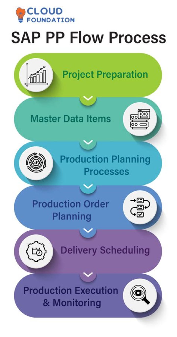 Optimized Sap Production Planning Process Flow PDF for Efficient Manufacturing