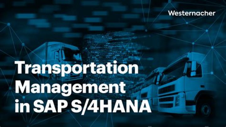 SAP S/4HANA Transportation Management PDF Guide: Optimize Logistics & Freight