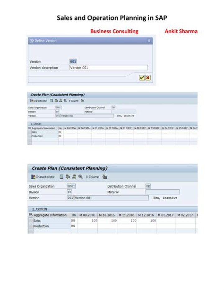 SAP Sales & Operations Planning PDF Guide